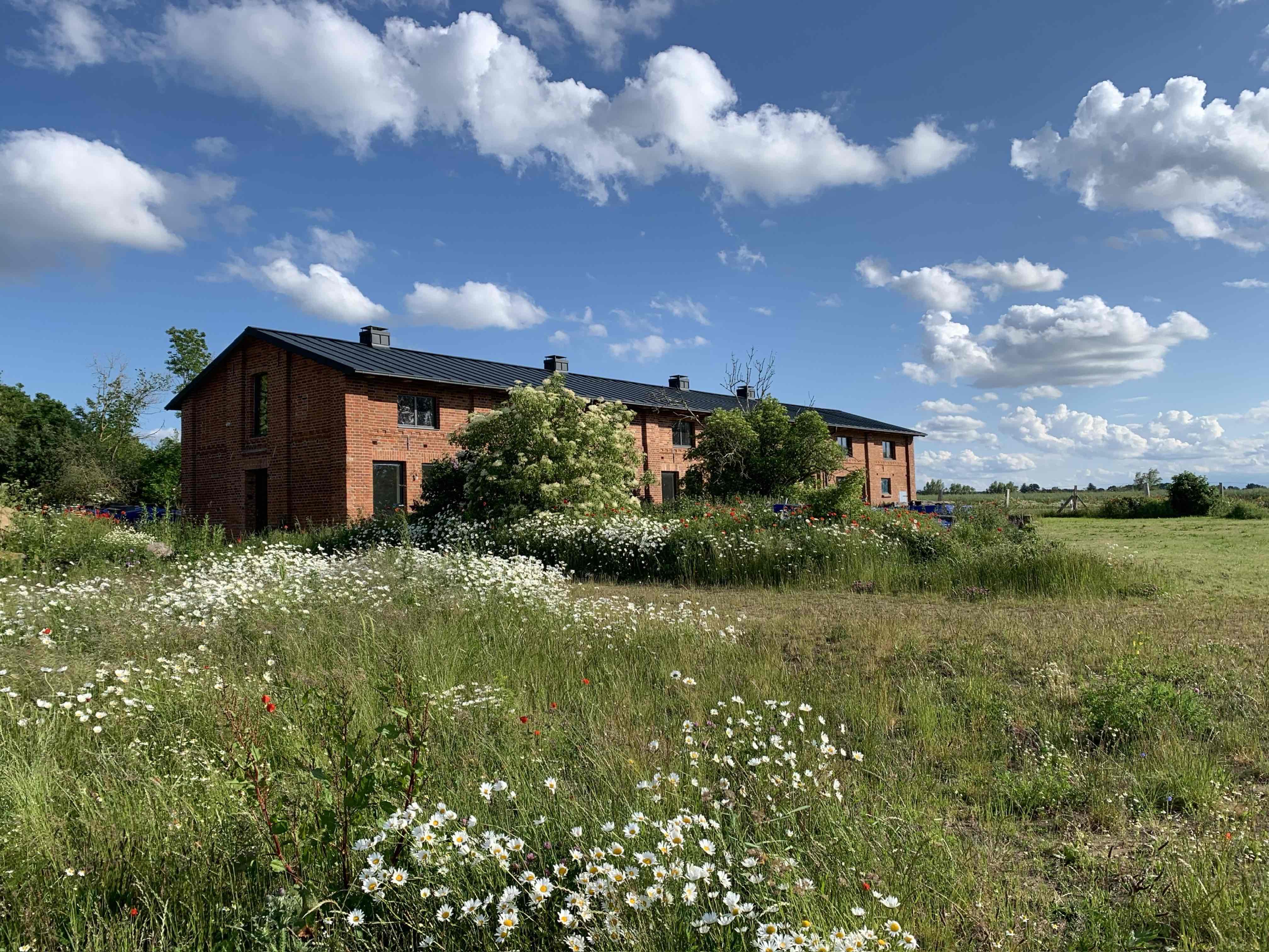 Ferienhaus mit umzäuntem Garten in Boiensdorf (Deutschland) und 1 Hund erlaubt